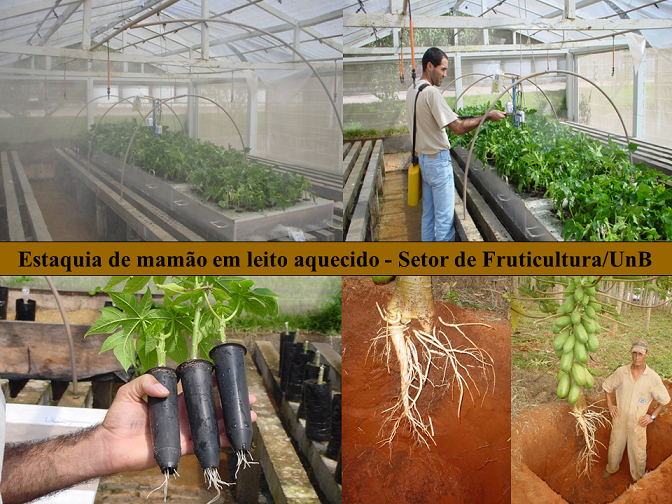 Slide11