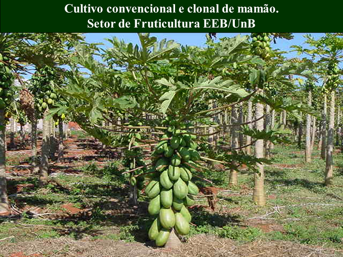 Slide12