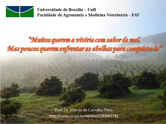 Slide13